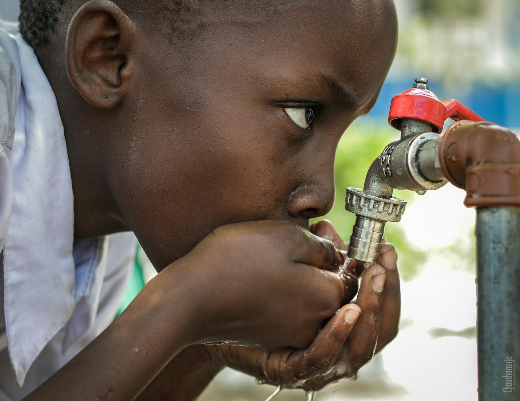 boy drinking water on faucet